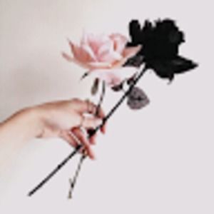 Meet your Posher, Kathleen